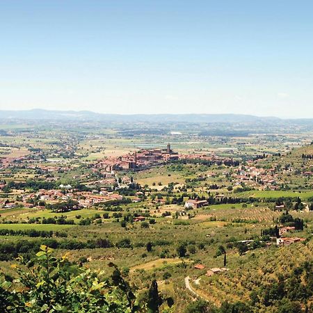 Il Marinocchio Di Malatesti Arezzo Dış mekan fotoğraf