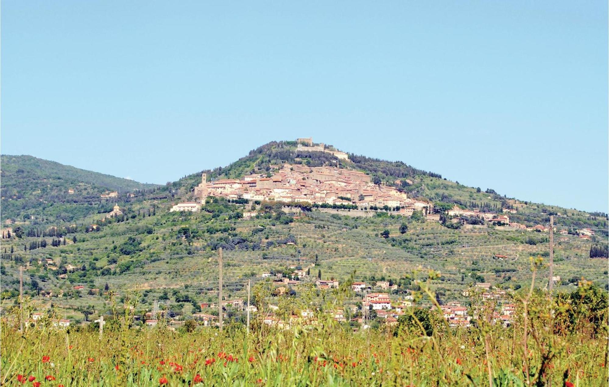 Il Marinocchio Di Malatesti Arezzo Dış mekan fotoğraf